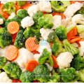 IQF Mixed Vegetables (California)